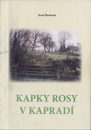 Kapky rosy v kapradí - obálka